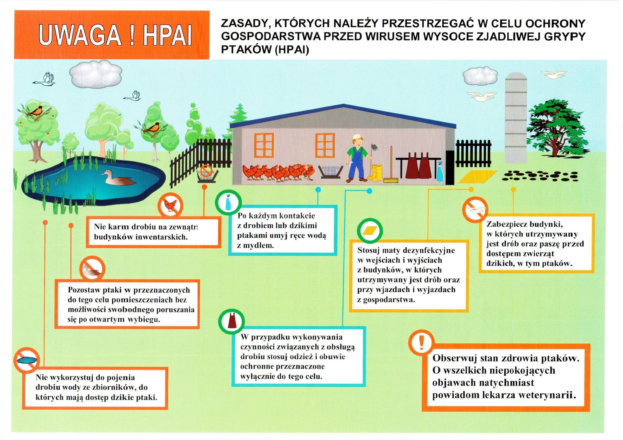 Zalecenia Dla Drobnotowarowych Hodowc W Drobiu Ch W Przyzagrodowy